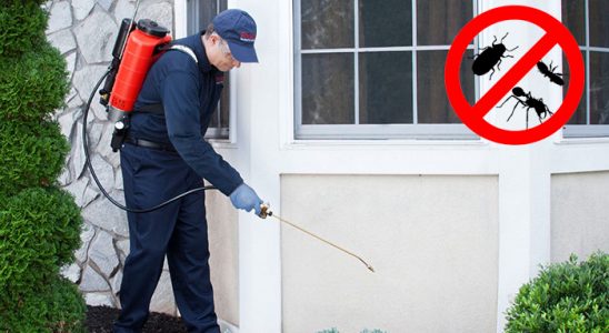 Bağcılar Tahtakurusu İlaçlama böcek ilaçlama ve haşere kontrolü — ilaclama-tr.com